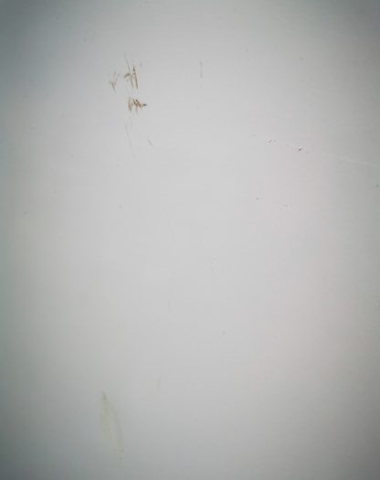 Bosch Fridge Freezer - Image 8