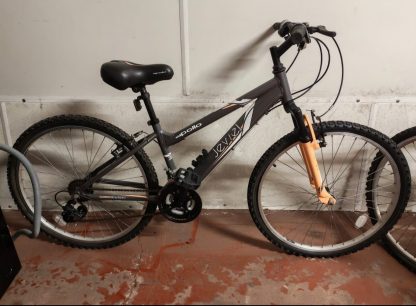 Grey Bike