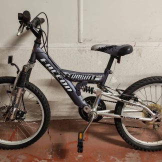 Grey/Silver Kids Bike