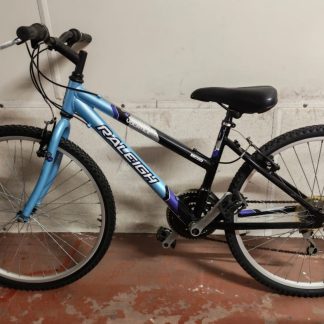 Blue Bike