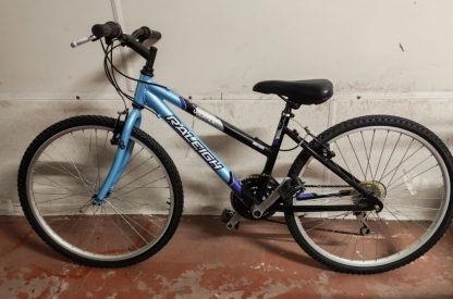 Blue Bike