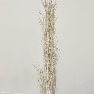 Decorative Twigs