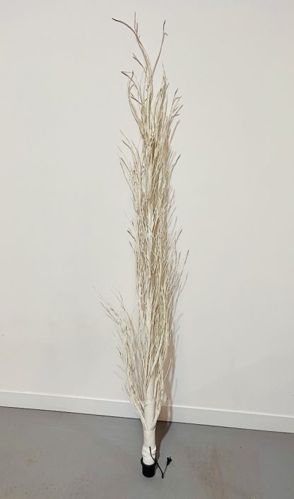 Decorative Twigs