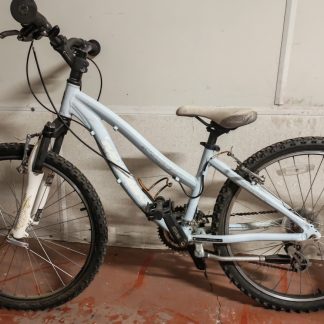 Light Blue Bike
