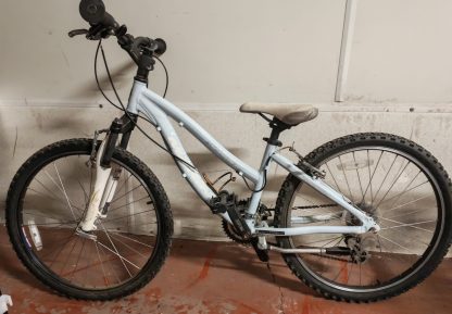 Light Blue Bike