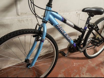 Blue Bike - Image 2
